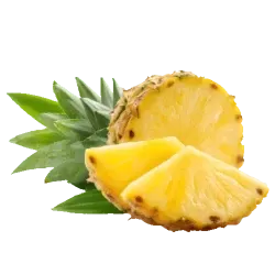 Sliced pineapple in isolation