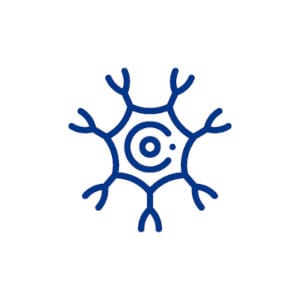 An illustration of a nerve cell